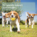 ANIFORTE Green Lipped Mussel Powder for Dogs and Cats - Joint Support Supplement - Pets Villa