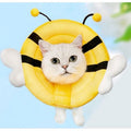Bee Design Pet Elizabethan collar - Pets Villa
