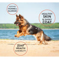 BRILLIANT Salmon Oil for Cats and Dogs - Pets Villa