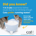 CATIT PIXI Drinking Water Fountain - Pets Villa