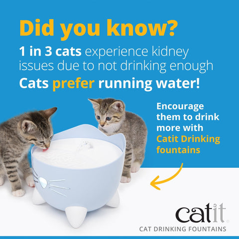 CATIT PIXI Drinking Water Fountain - Pets Villa