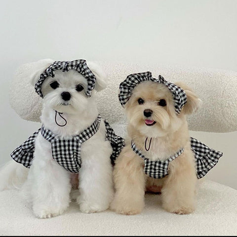 Cheese N Mood 3 Piece Checked Pet Outfit - Pets Villa