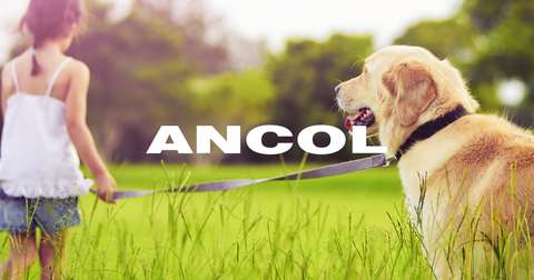 UP TO 40% OFF ANCOL PET PRODUCTS