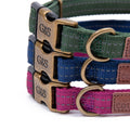 GREAT & SMALL Dog Country Collar - Pets Villa