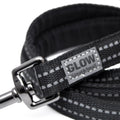 GREAT & SMALL Dog Glow Lead Black - Pets Villa