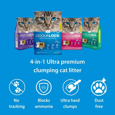 INTERSAND Odourlock Unscented Cat Litter - Pets Villa