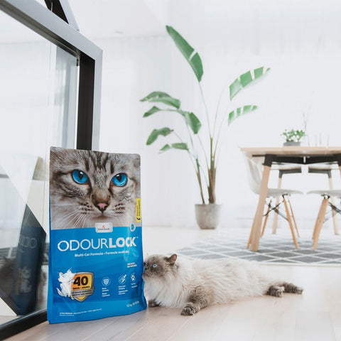 INTERSAND Odourlock Unscented Cat Litter - Pets Villa