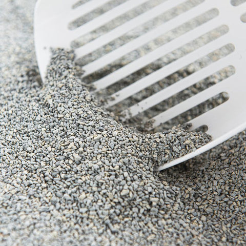 INTERSAND Odourlock Unscented Cat Litter - Pets Villa