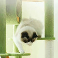 MARTINA Plant Style Cat Climbing Tree - Pets Villa