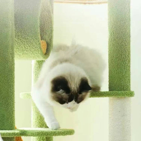 MARTINA Plant Style Cat Climbing Tree - Pets Villa
