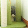 MARTINA Plant Style Cat Climbing Tree - Pets Villa