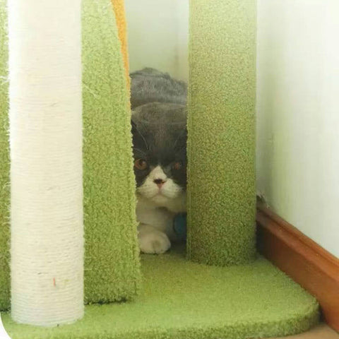 MARTINA Plant Style Cat Climbing Tree - Pets Villa