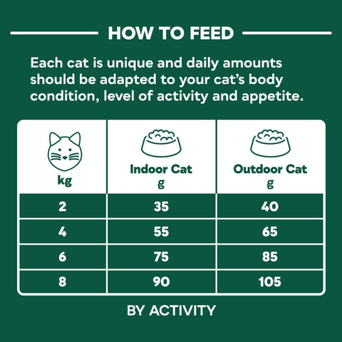 NATURES MENU Cat Dry High in Meat with Deboned Norwegian Salmon Dry Food - Pets Villa