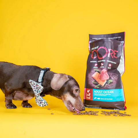 Save 10% on Wellness Core