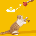 PURLAB Toilet Match Cat Teaser - Pets Villa