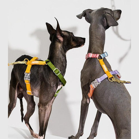 Save 25% on Tinklylife Pet Lead & Harness