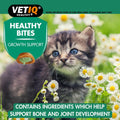 VETIQ Healthy Bites Growth Support Kitten Treats (65g) - Pets Villa