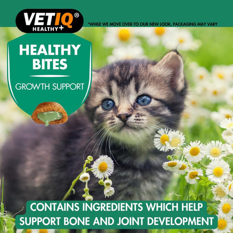 VETIQ Healthy Bites Growth Support Kitten Treats (65g) - Pets Villa