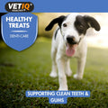 VETIQ Healthy Treats Breath & Dental 70g - Pets Villa