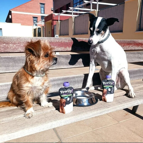 YOWUP! Dog Yogurt with Prebiotics 115g - Pets Villa