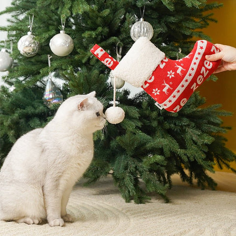 ZEZE Christmas Sock or Glove Catnip filled Cat Toy - Pets Villa