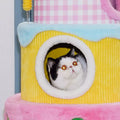 ZEZE Festival Cream Cake Cat Frame - Pets Villa