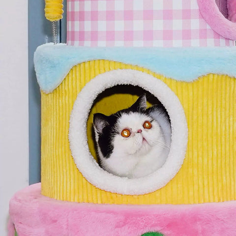 ZEZE Festival Cream Cake Cat Frame - Pets Villa
