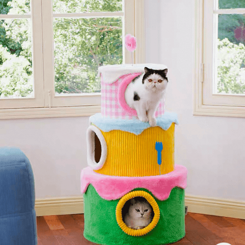 ZEZE Festival Cream Cake Cat Frame - Pets Villa