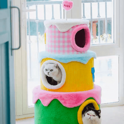 ZEZE Festival Cream Cake Cat Frame - Pets Villa