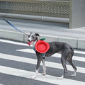ZEZE Fruits Travel Bowl - Pets Villa