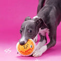 ZEZE Funny Mooncake Pet Toy - Pets Villa