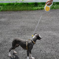 ZEZE Retractable Pet Lead 3M - Pets Villa