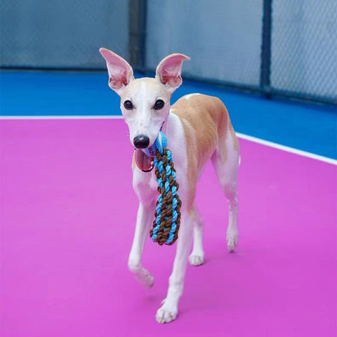 ZEZE Tennis Ball with Sturdy Rope - Pets Villa