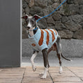 ZEZE Warmth Striped Pet Sweater - Pets Villa