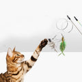 ALL FOR PAWS Insect Cat Teaser - Pets Villa