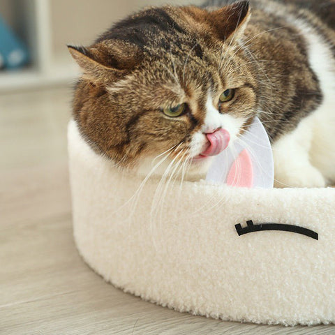 Modern alpaca cat scratcher with sisal rope for claw care and home decor