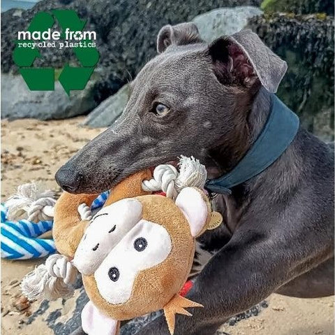 ANCOL Made From Koala, Monkey And Panda Assorted - Pets Villa