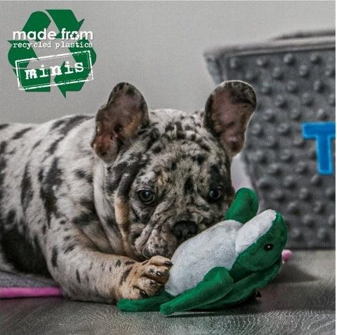 Ancol Made From recycled comfort dog toy, 13cm, 6 designs, eco-friendly squeaky plush