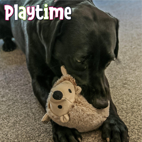 ANCOL Super Soft Rope Bellies Assorted - Pets Villa