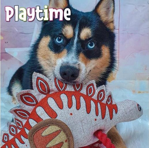 Canvas Dog Toy with Pull-Through Rope – 28cm, Recycled Stuffing