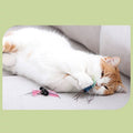 Cat playing with ALL FOR PAWS Insect Cat Teaser wand toy