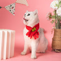 Festival Pet Scarf - Get Rich - Pets Villa