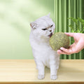Giant Catnip Ball 10cm - Pets Villa