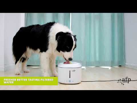 3-liter cat water fountain with silent water pump and circulation system