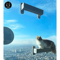 JOYCAT Window Perch/Scratch Post/Tunnel - Pets Villa