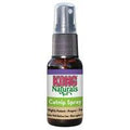 KONG Naturals Catnip Spray 30ml - Pets Villa