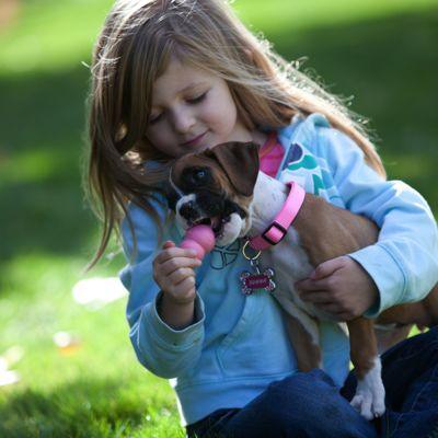 KONG Puppy - Pets Villa