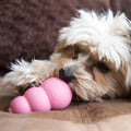 KONG Puppy - Pets Villa