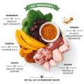 LILY'S KITCHEN Coronation Chicken - Pets Villa