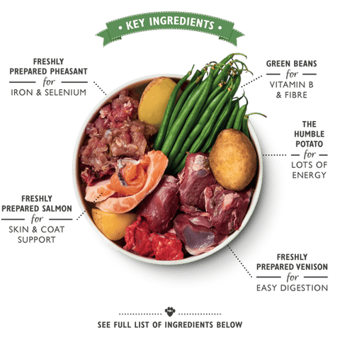 LILY'S KITCHEN Wild Campfire Stew (150g) - Pets Villa
